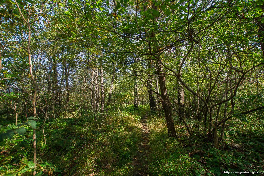 appalachian trail